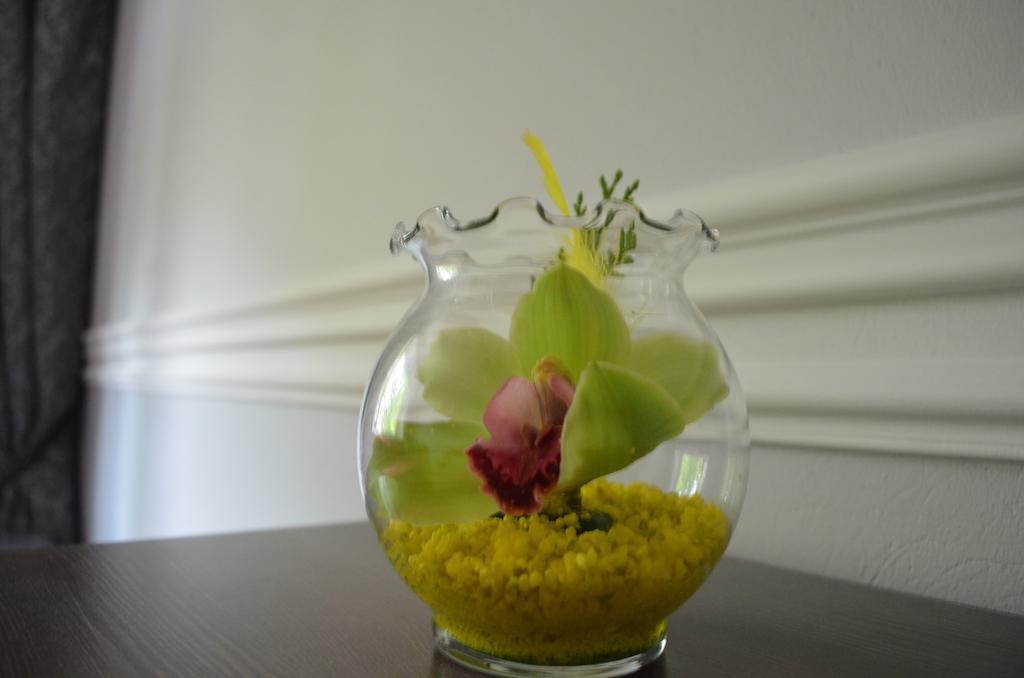 Apartament Orchidea Centrum Warszawa Rum bild