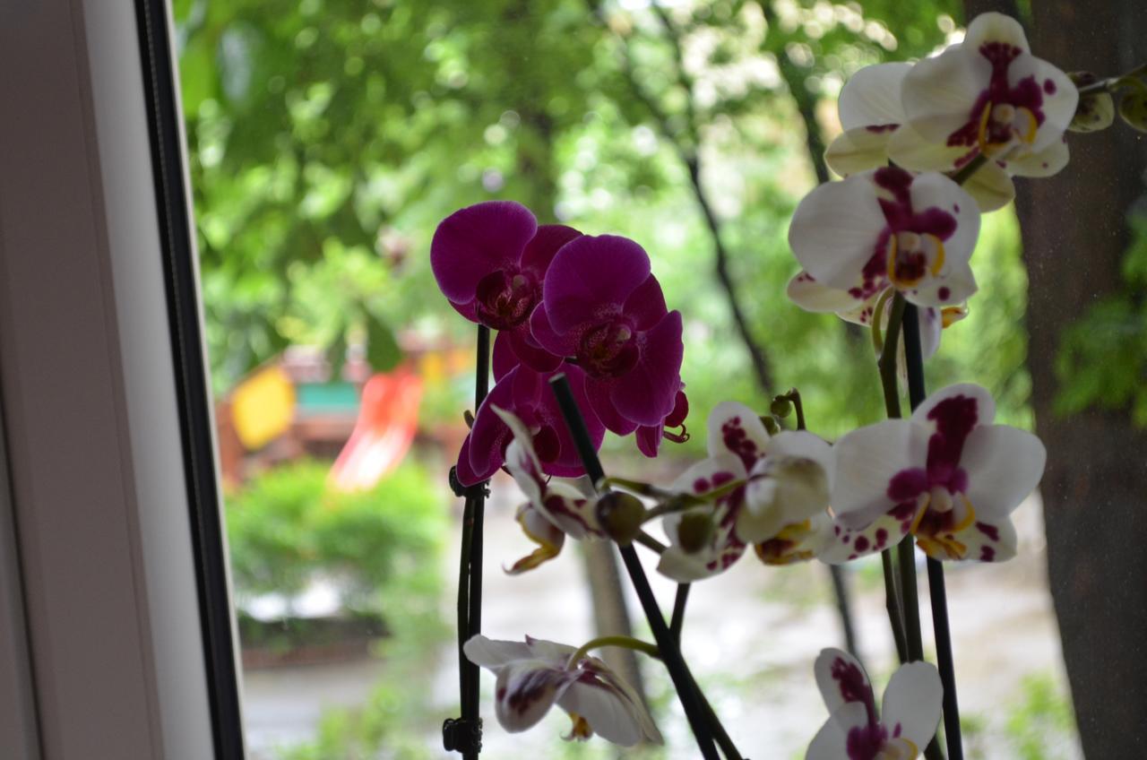 Apartament Orchidea Centrum Warszawa Exteriör bild